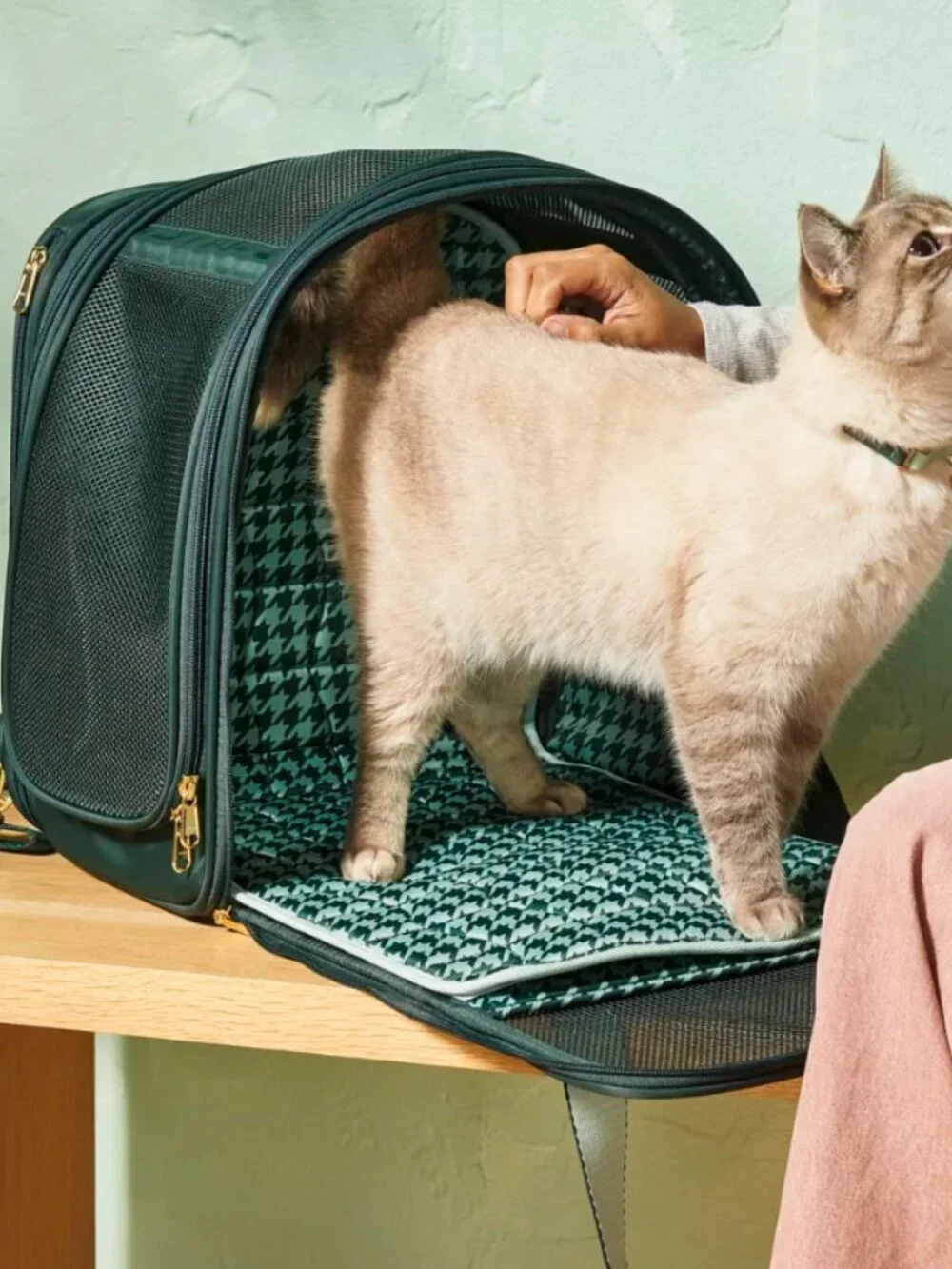 Cuddle Collab x TARGET Backpack Convertible Pet Carrier NWT - Picture 4 of 13